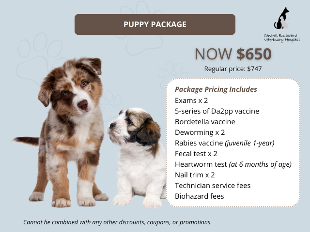 Bordetella discount vaccine price