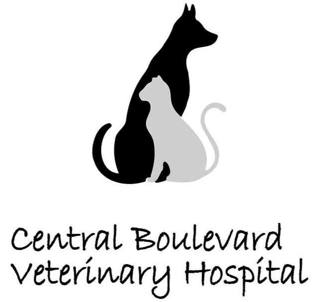 Central Boulevard Veterinary Hospital