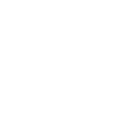 pet with cone icon