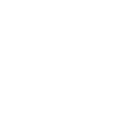 stethoscope icon